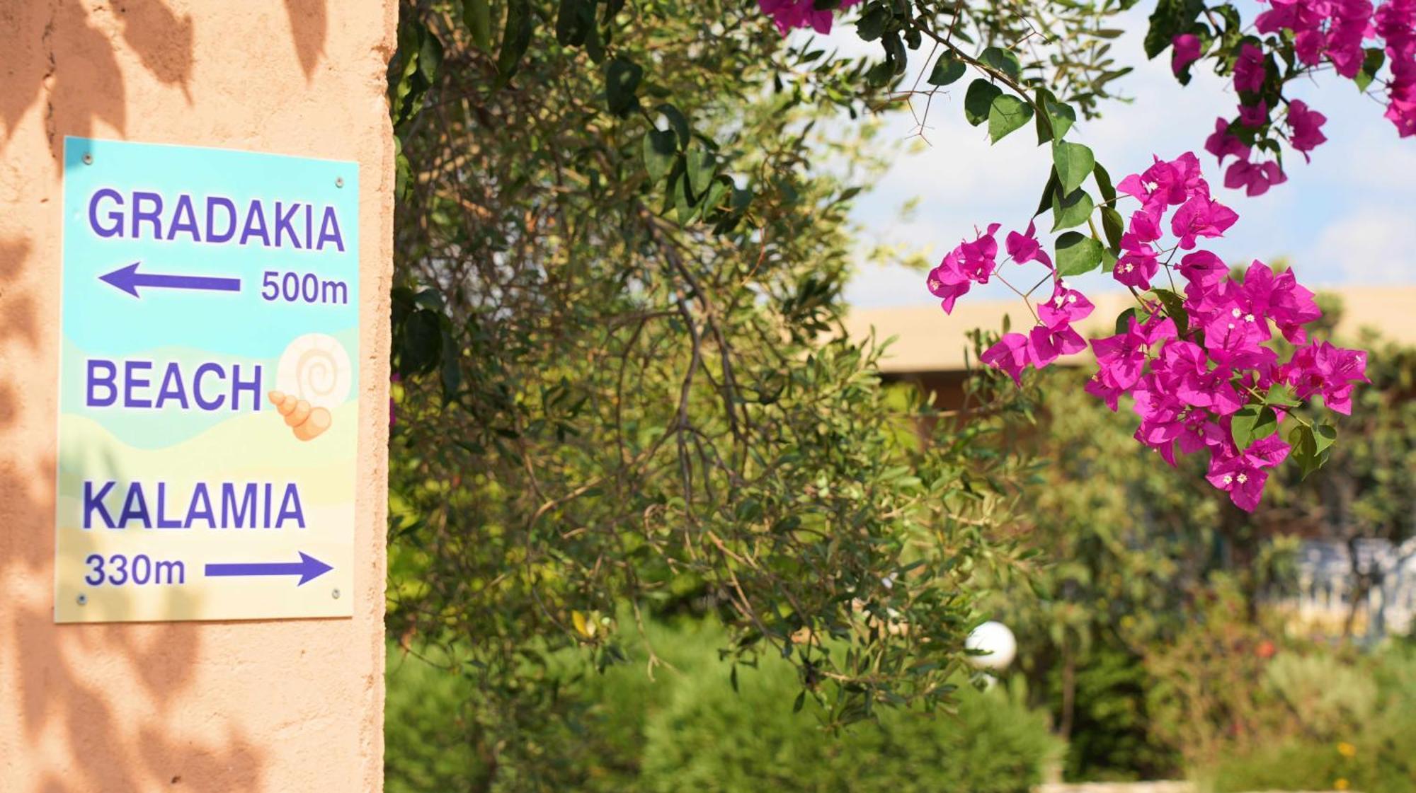Galini Studios And Apartments Lassi  Zewnętrze zdjęcie